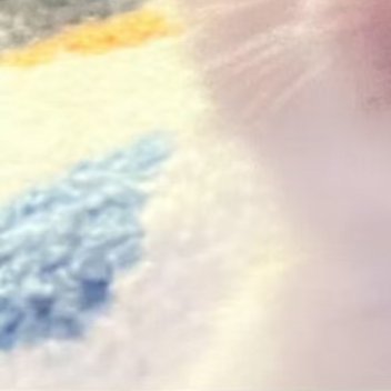 阿夏夏养猫准则 0000后爱国，是人世间最深层、最持久的情感，是一个人立德之源、