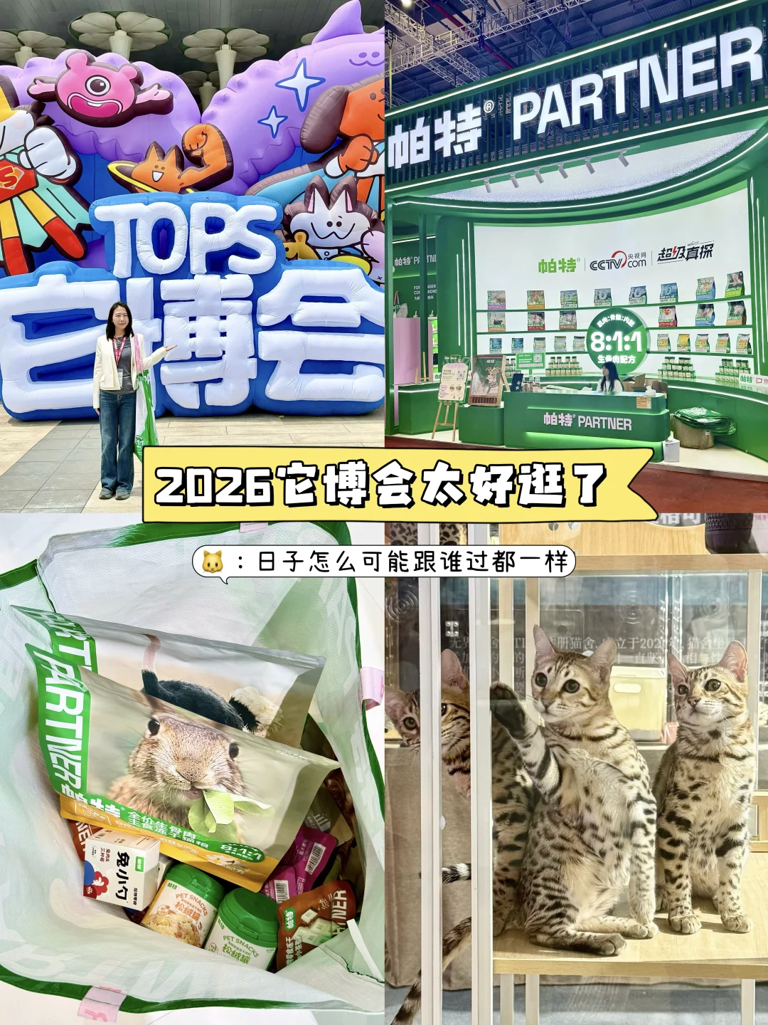 上海它博会我来啦！简直就是养猫人的天堂！