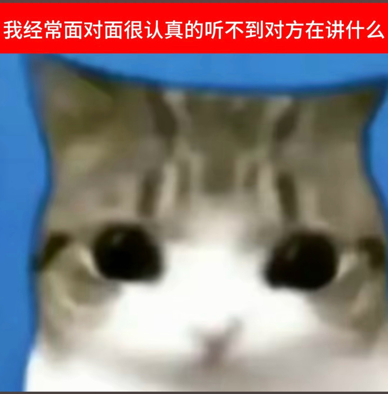 王鹤棣沈月 再见朋友  毕竟8年了宁愿发微博也不来找sy提前三个月给他包场还叫没