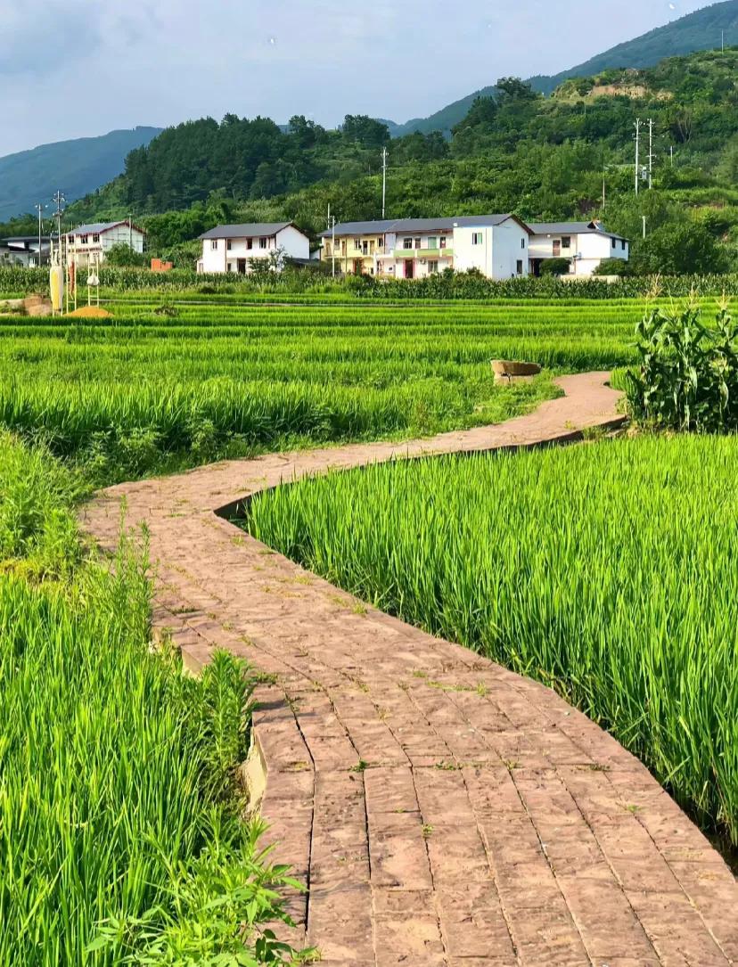 一半夏末余热，一半秋日微凉