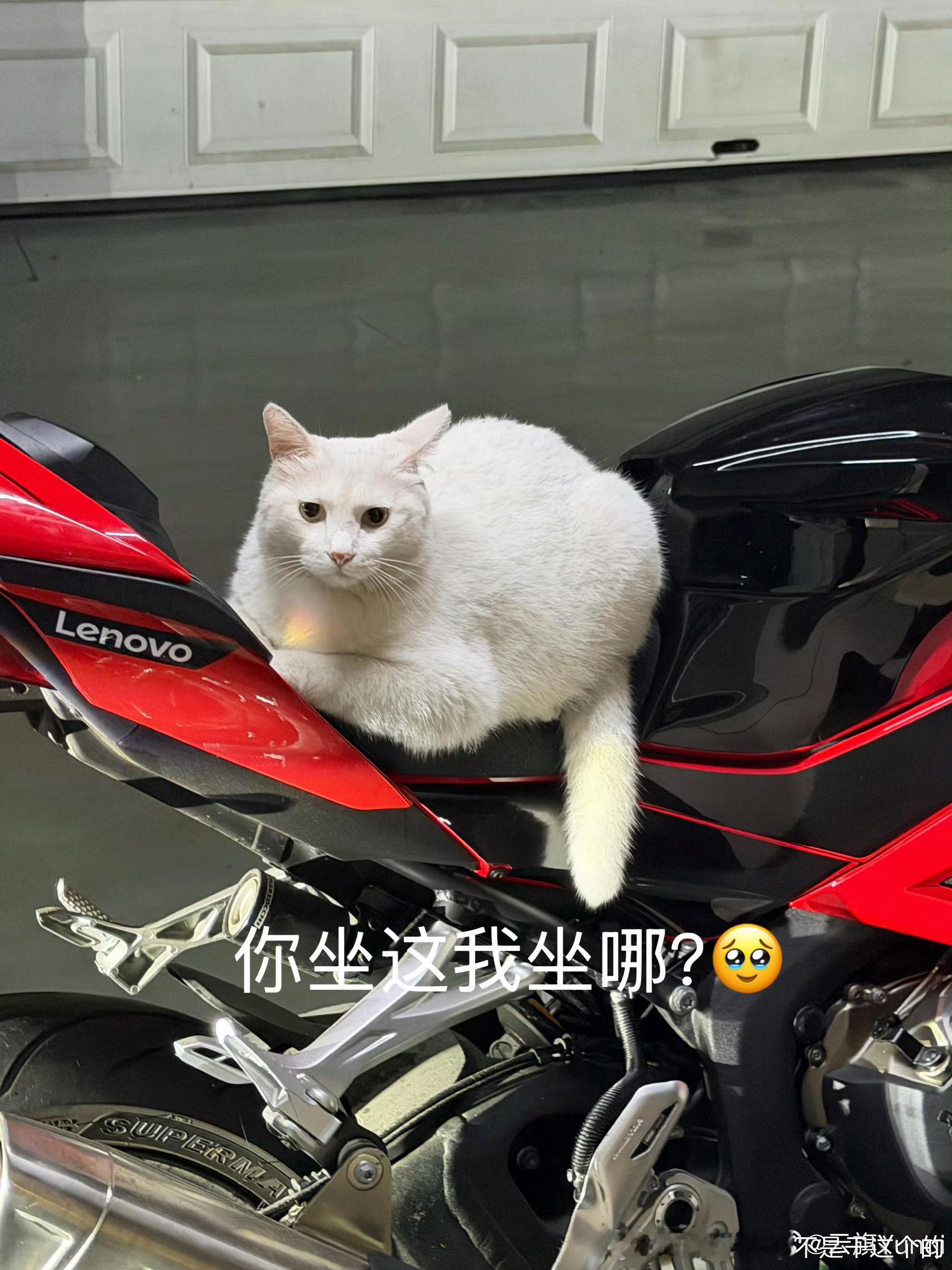你躺这了，那我就不客气了 ​​​