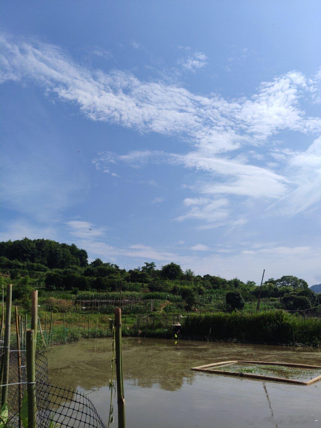 天气正好，适合出门