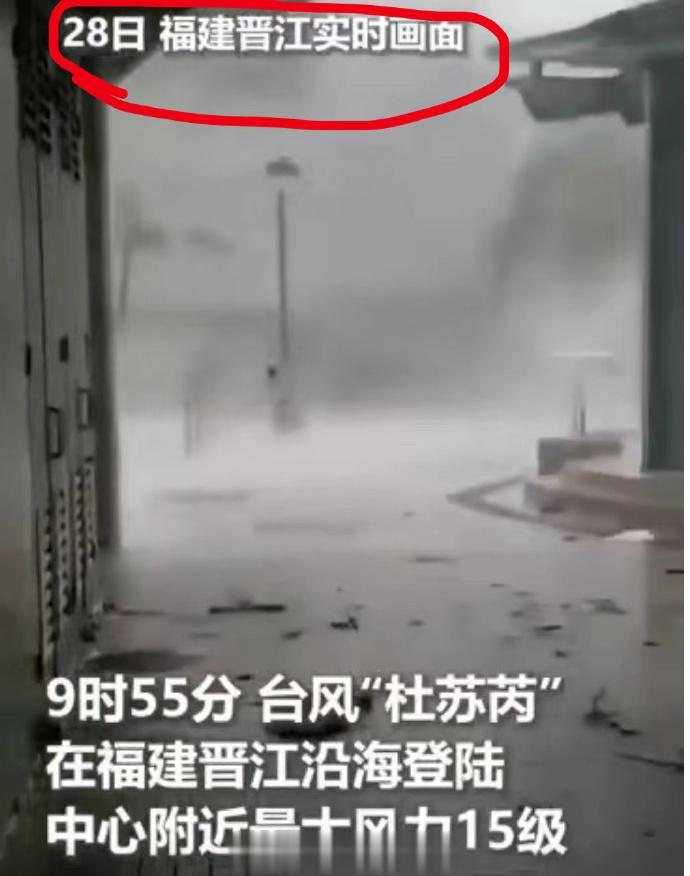 原来网上的台风新闻都是这么整出来的？原来就是到处抄作业啊[震惊][笑哭][翻白眼