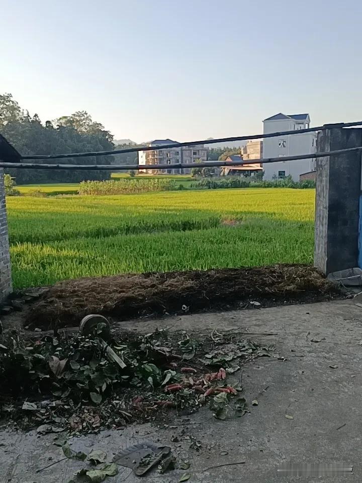每日生活随手记在家带娃，印证了一件事，那就是男人在家带娃真的能把这个男人废了，不