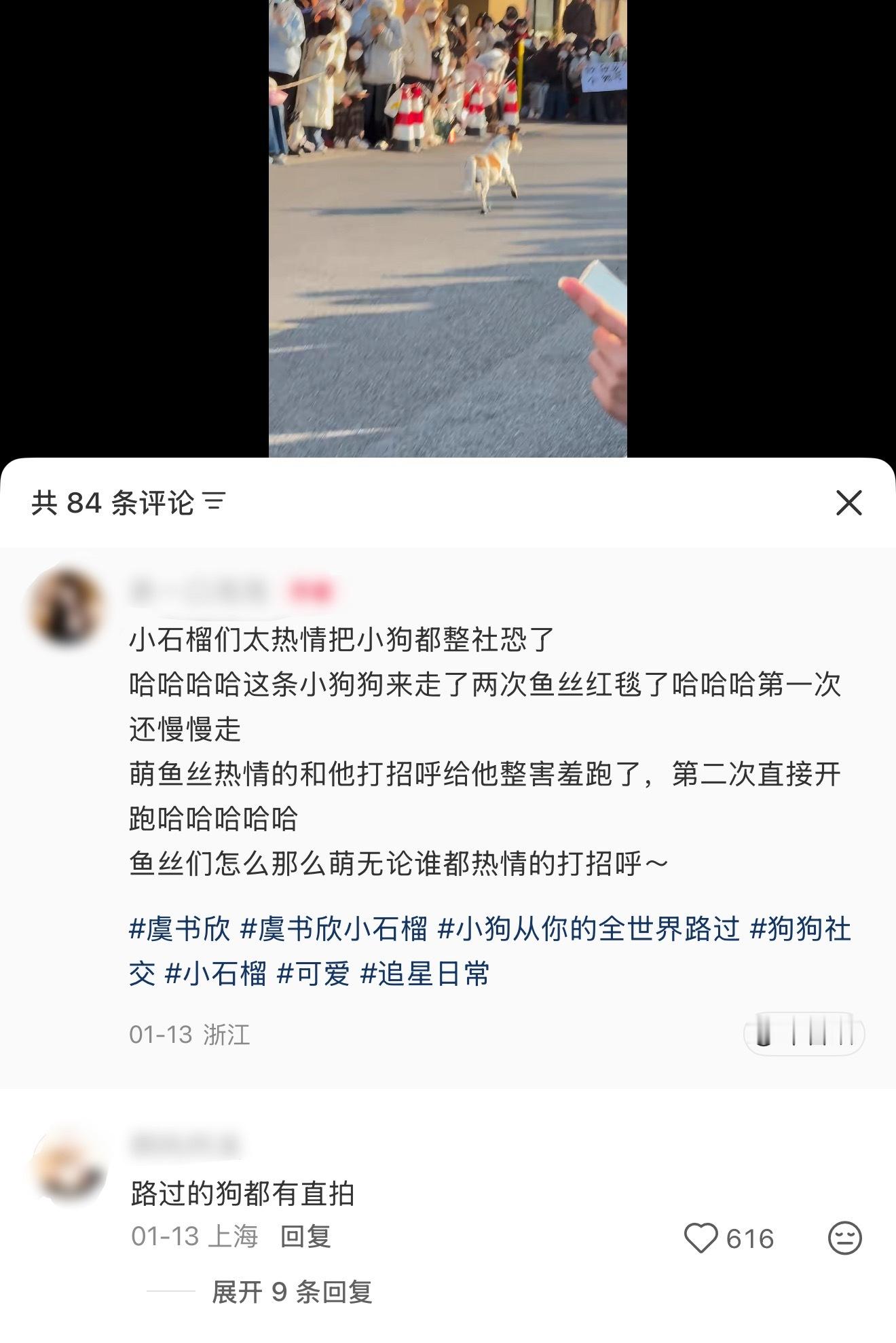 没错啊我们鱼丝就是连路过的狗都会热情的打招呼的一群可爱小女孩呀