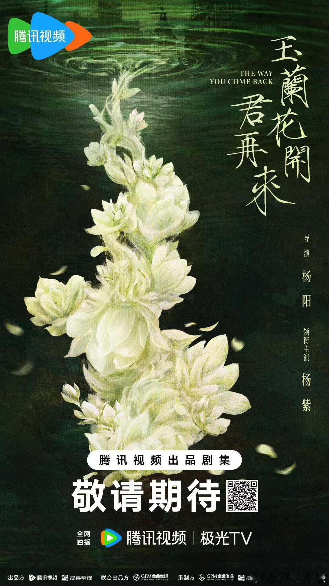 晟喜华视｜玉兰花开君再来   ———  官宣主演 杨紫  ———   忆锦江传奇