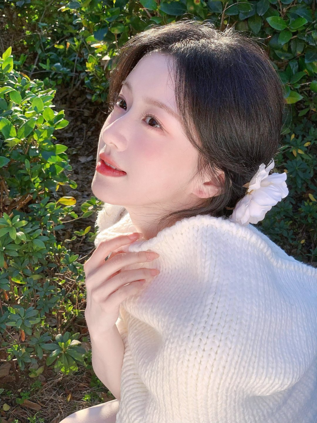 包上恩 💛 包上恩江湖夜雨十年灯 💛包上恩蔡昭你在身边 抵万千ヾ(≧O≦)〃