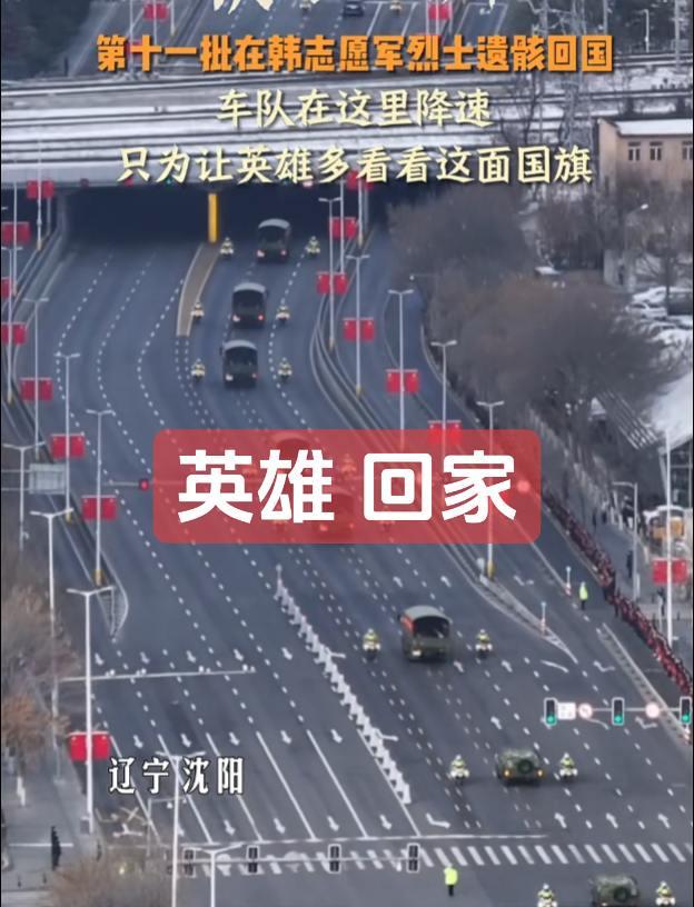 永远铭记！他们的伟大，向英雄致敬🙏🏻英雄 致敬 志愿军 情罪