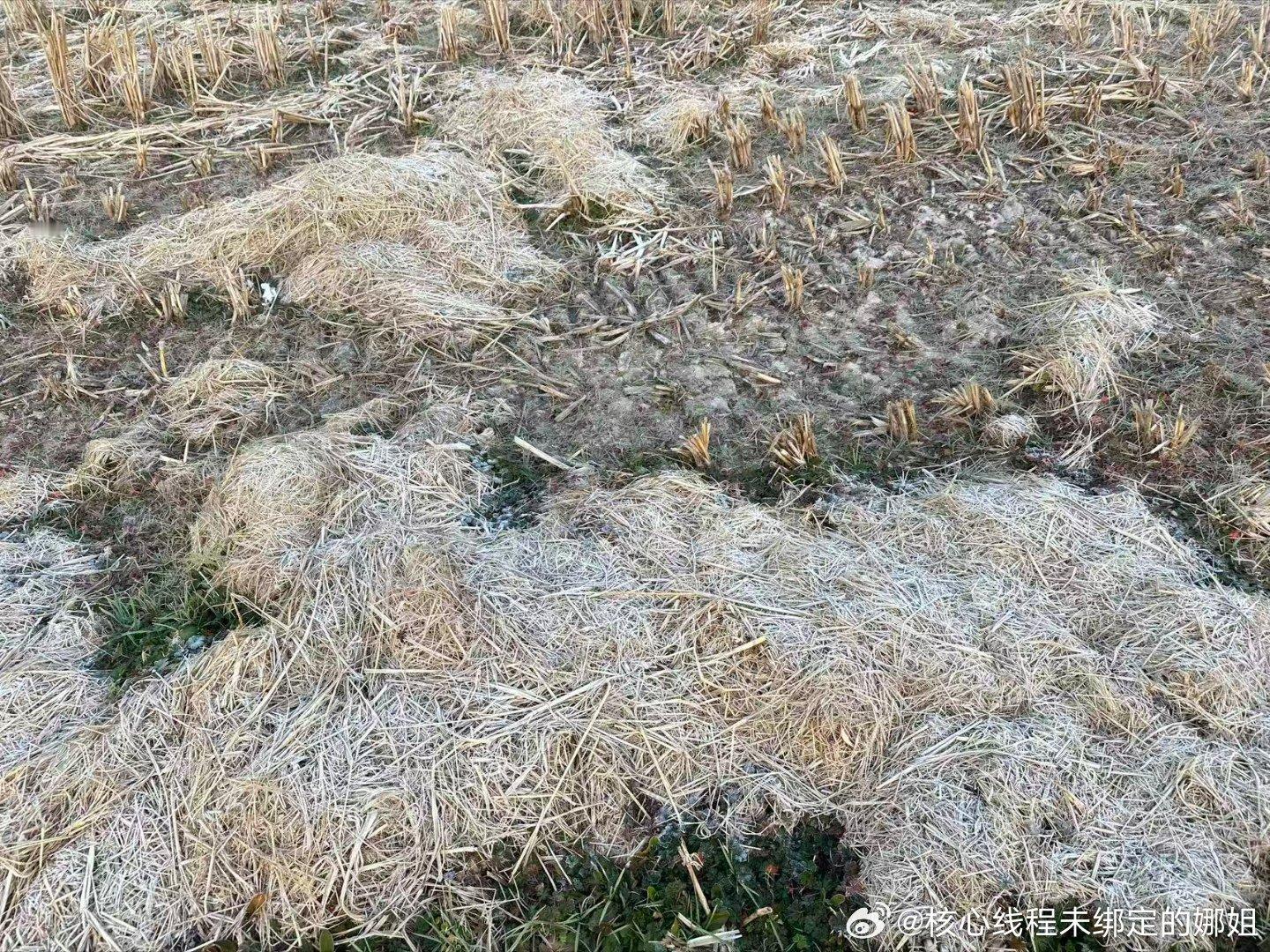 这波牛市能走多远感觉能走很远大家都豆包选股都是ai元年气氛已经烘托到了钱也很多上