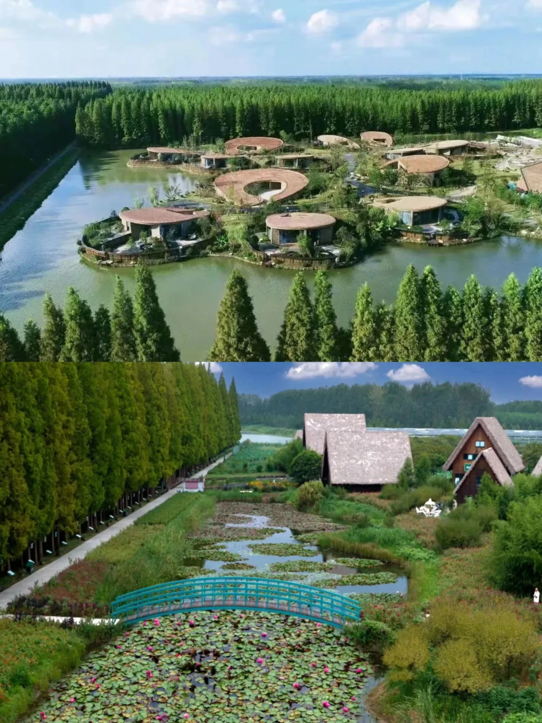 金湖水上森林五一🌳致每一位努力生活的你