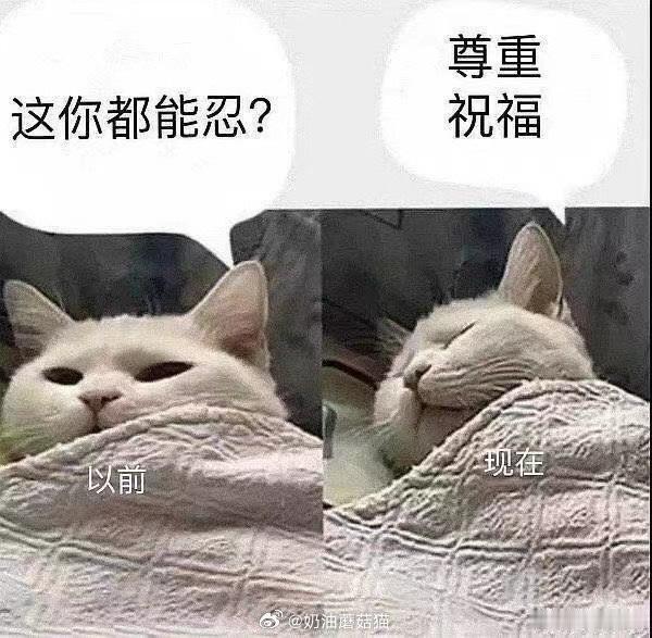 突然开始理解不办婚礼的人了这个事儿还是看个人，我当时和人虎结婚就没有办婚礼，自始