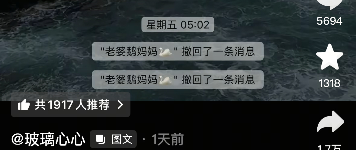 老婆鹅妈妈 