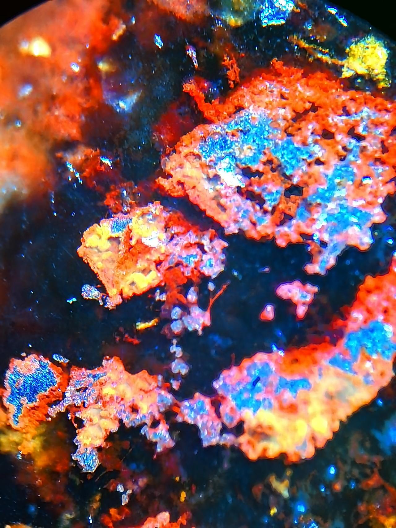 分享一张花的照片奔异内沁宇宙花