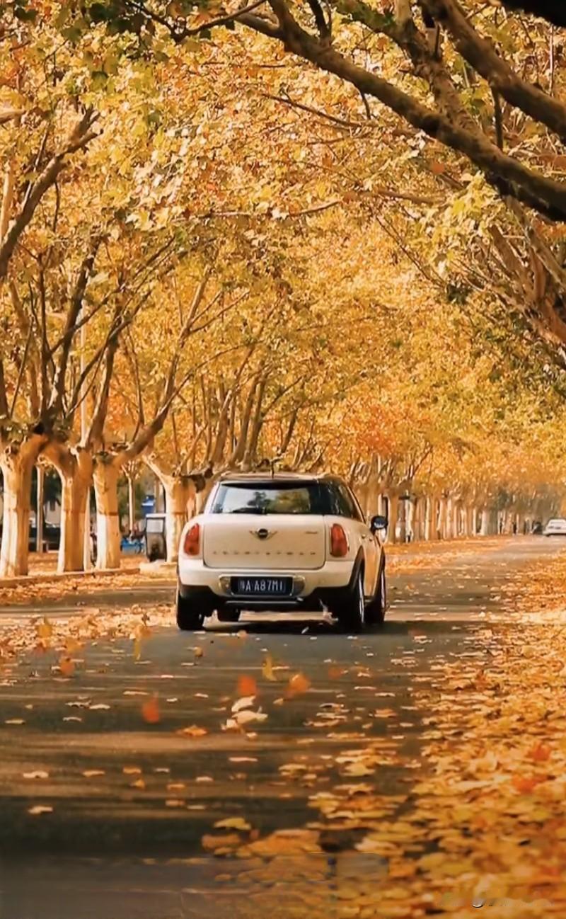 人生最大的压力来源是怕压力，当你相信自己能面对时，这已是一个好的开端。