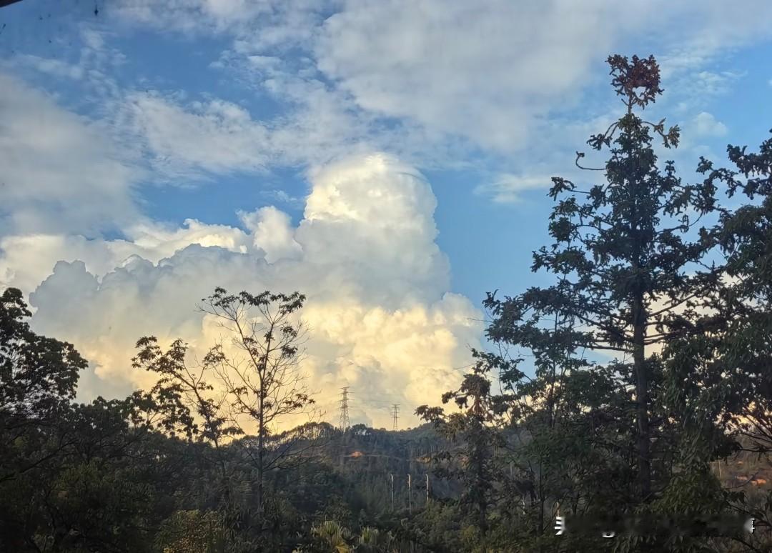 女人一边妥善周旋婆家娘家，打理好家里所有人情世故，在外懂得顾及伴侣颜面，事事维护