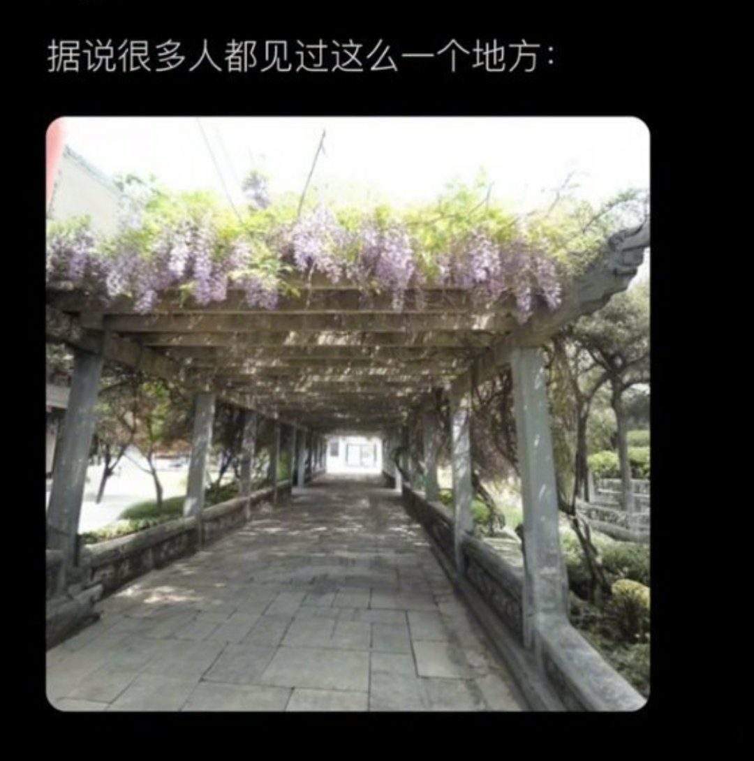 啊？#meme# ​​​