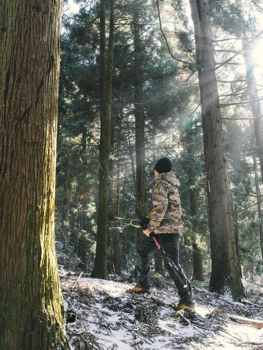 无尽的冬日 ｜ 梦回长白山雾凇森林