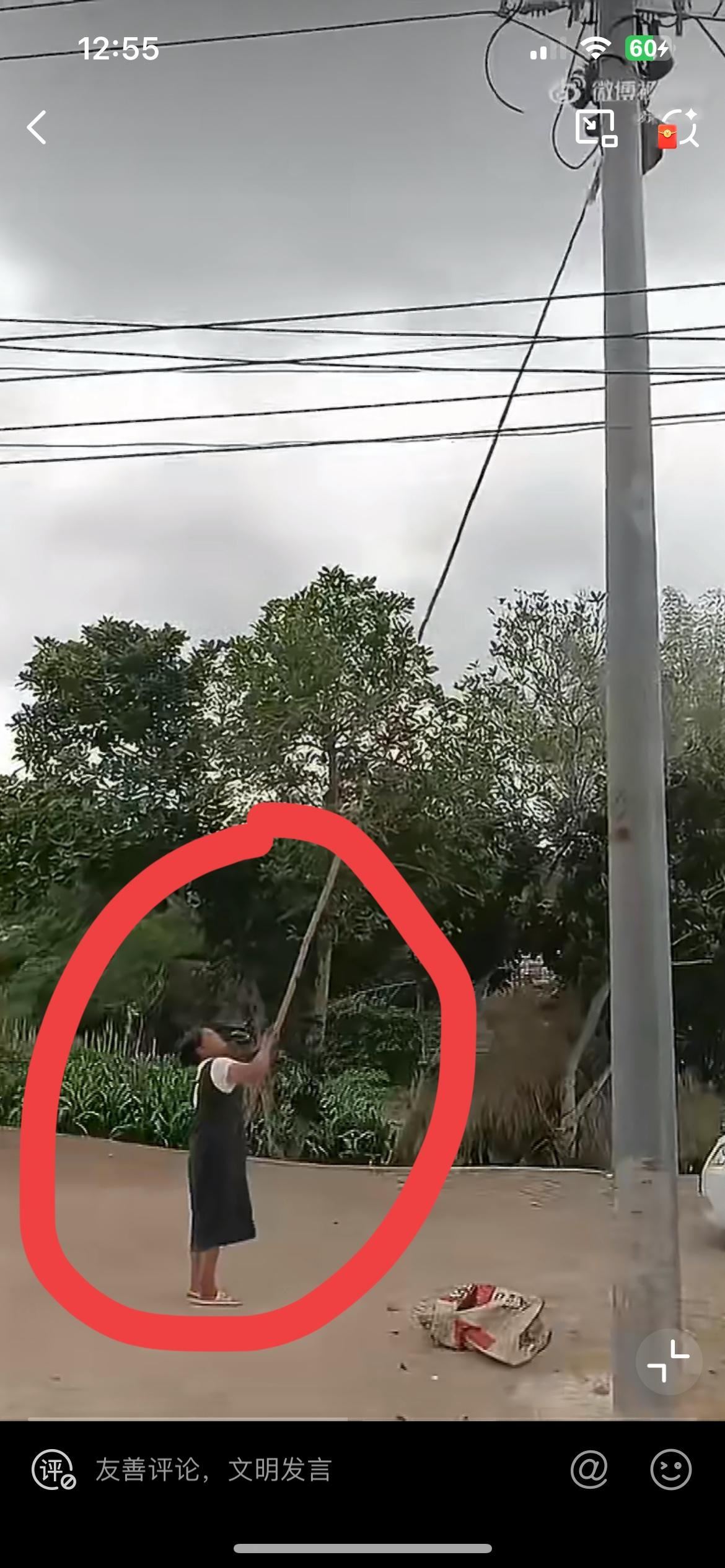 一电工在高压电线杆上作业，一老仙女拿着竹竿在捅他，要他下来，不知道这个老仙女是抽