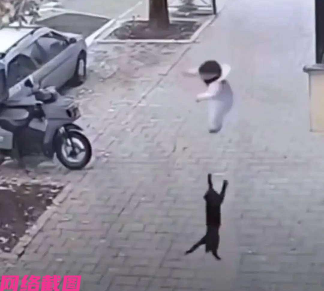 浙江杭州有名三岁宝宝在阳台玩耍，不知怎么，在家长的疏忽里突然孩子从阳台上滑落下来