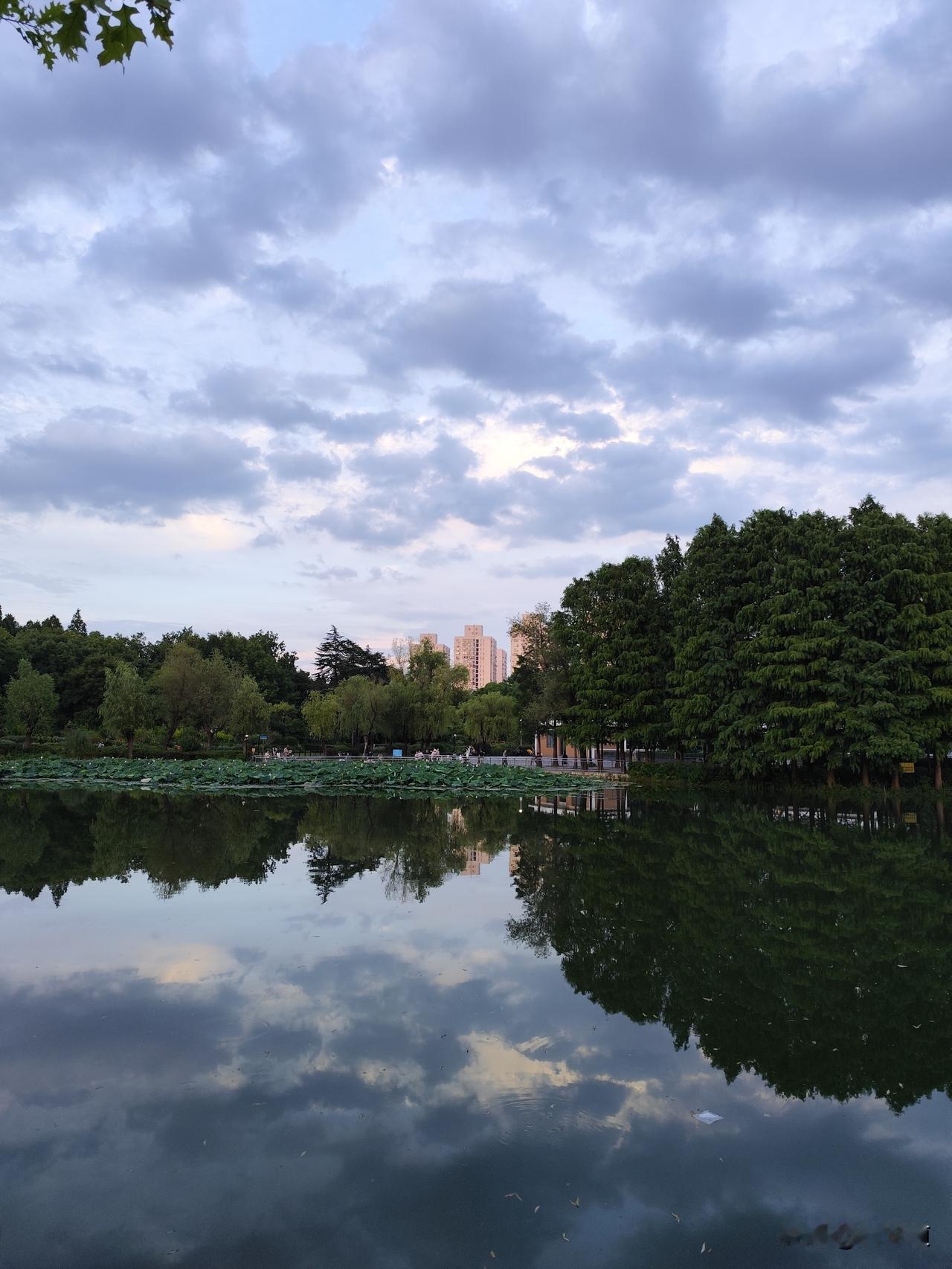 寸金桥公园打卡湖映蓝天入画来
