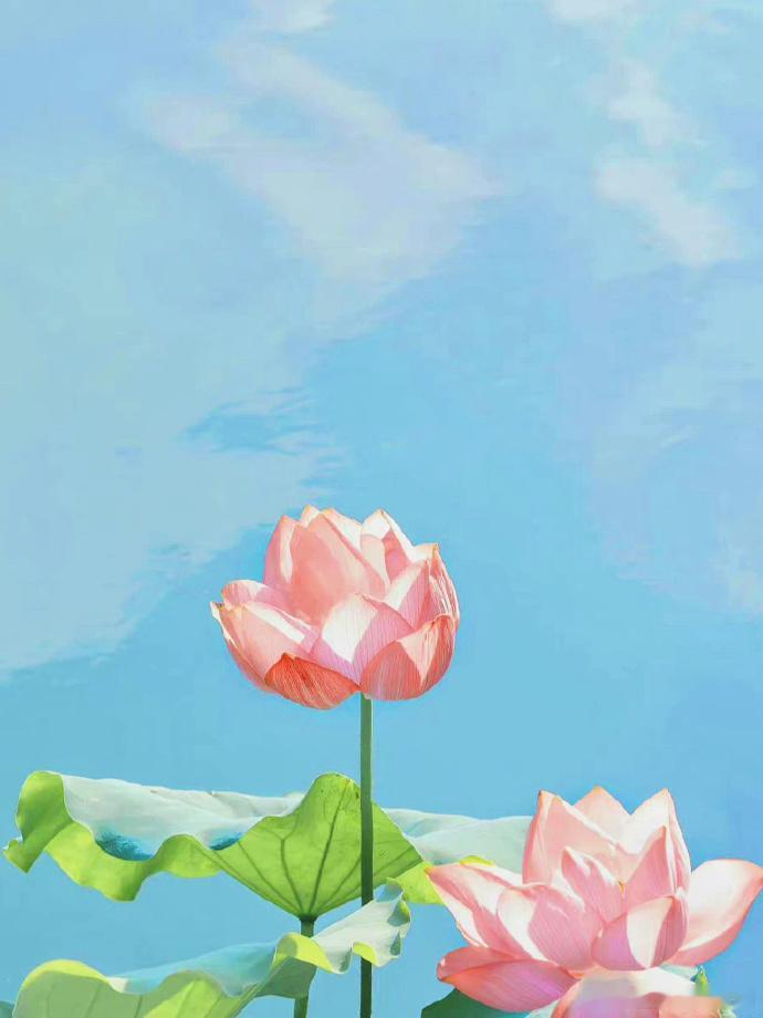 春游芳草地，夏览荷花池 .. 