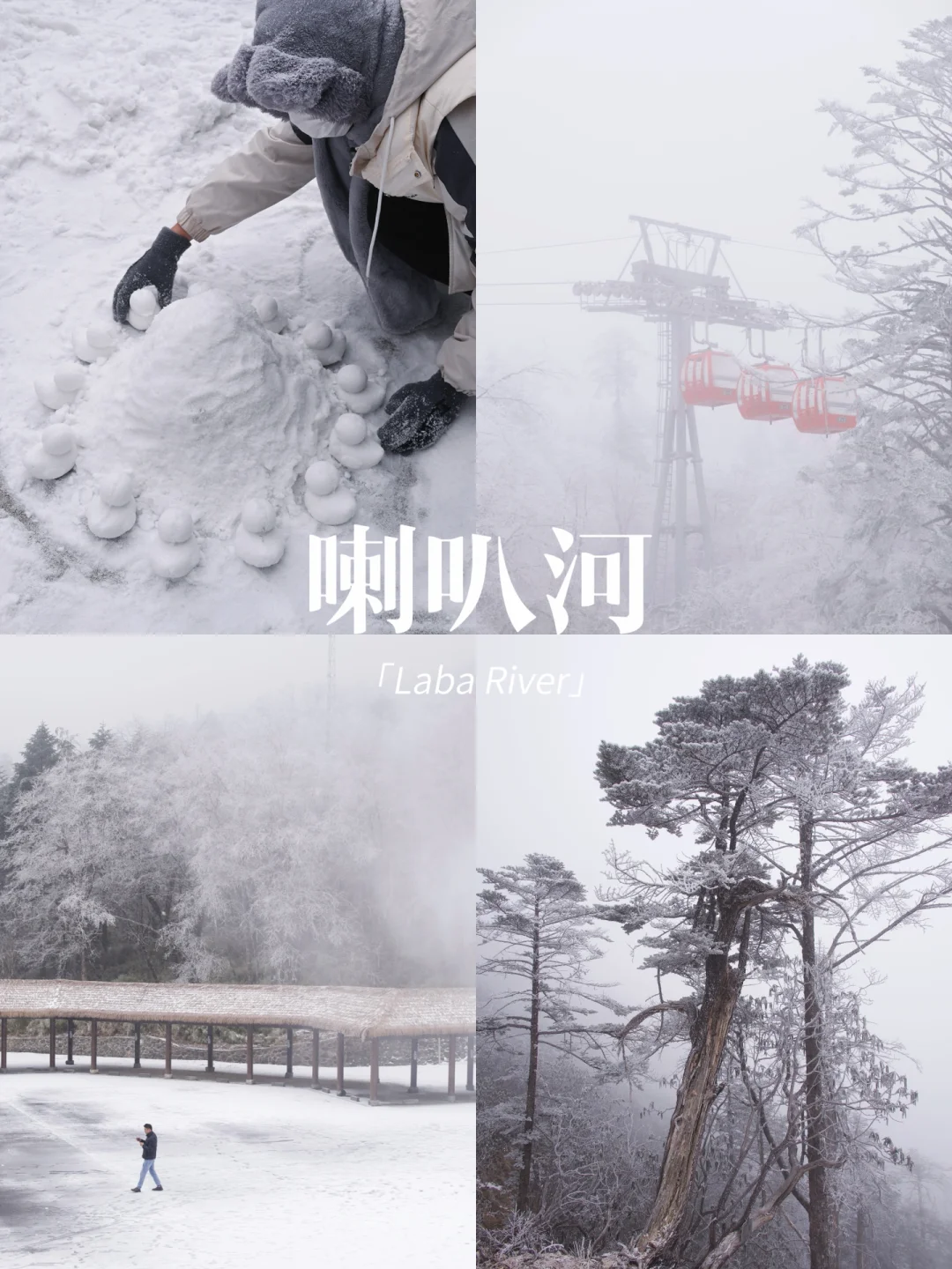 人少雪多‼️成都周边赏雪宝藏地❄️看鹿看云海