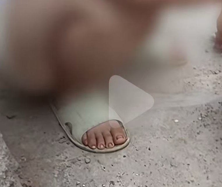 骂我的请你吃小美猪蹄 