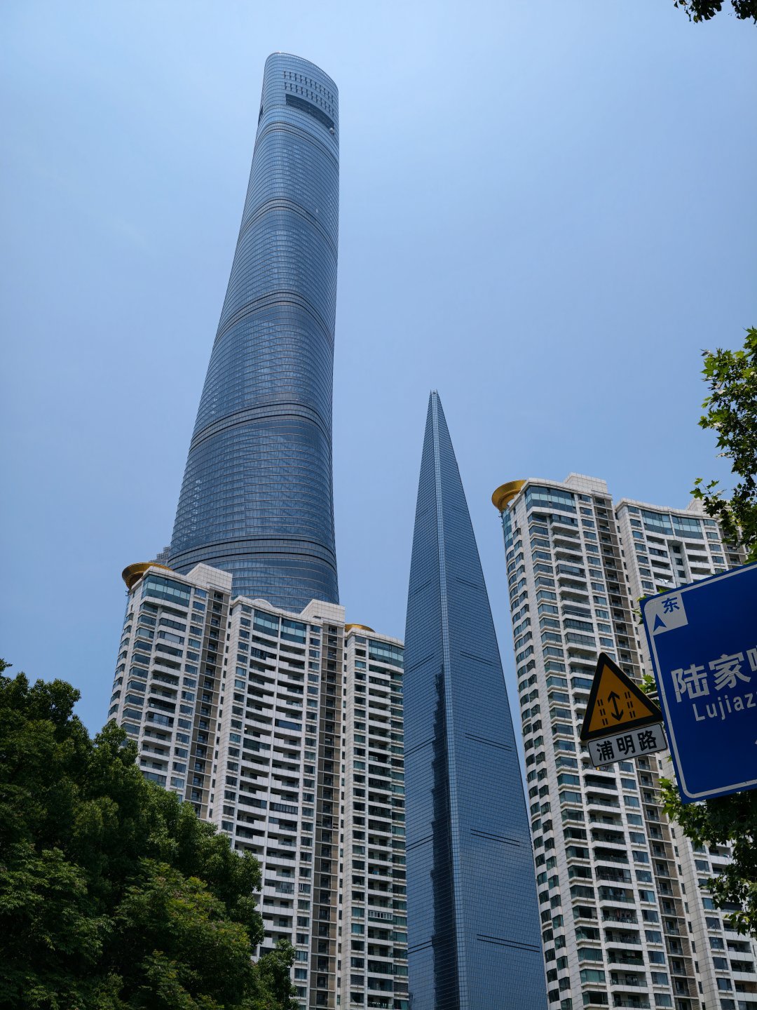 来都来了