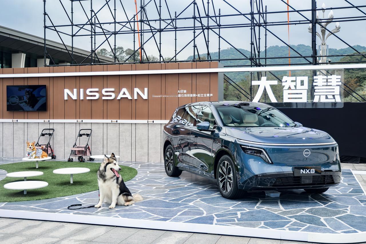 限时权益价14.99-19.99万的东风日产NX8，最大的亮点可不仅仅只是门槛亲