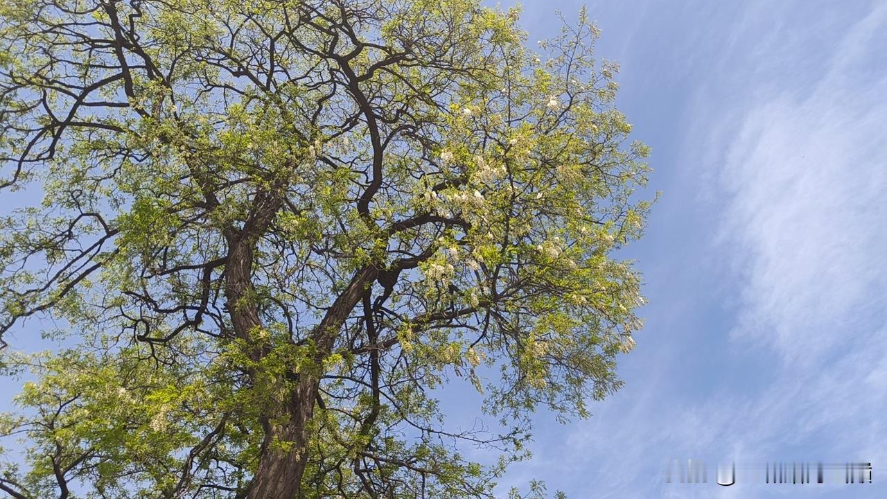 面试求职对话
  求职者:你好，面试。
  面试官: 你能接受无偿加班儿吗？
 