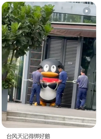 啊啊啊啊啊啊啊啊啊腾讯。“台风天记得绑好鹅” ​​​