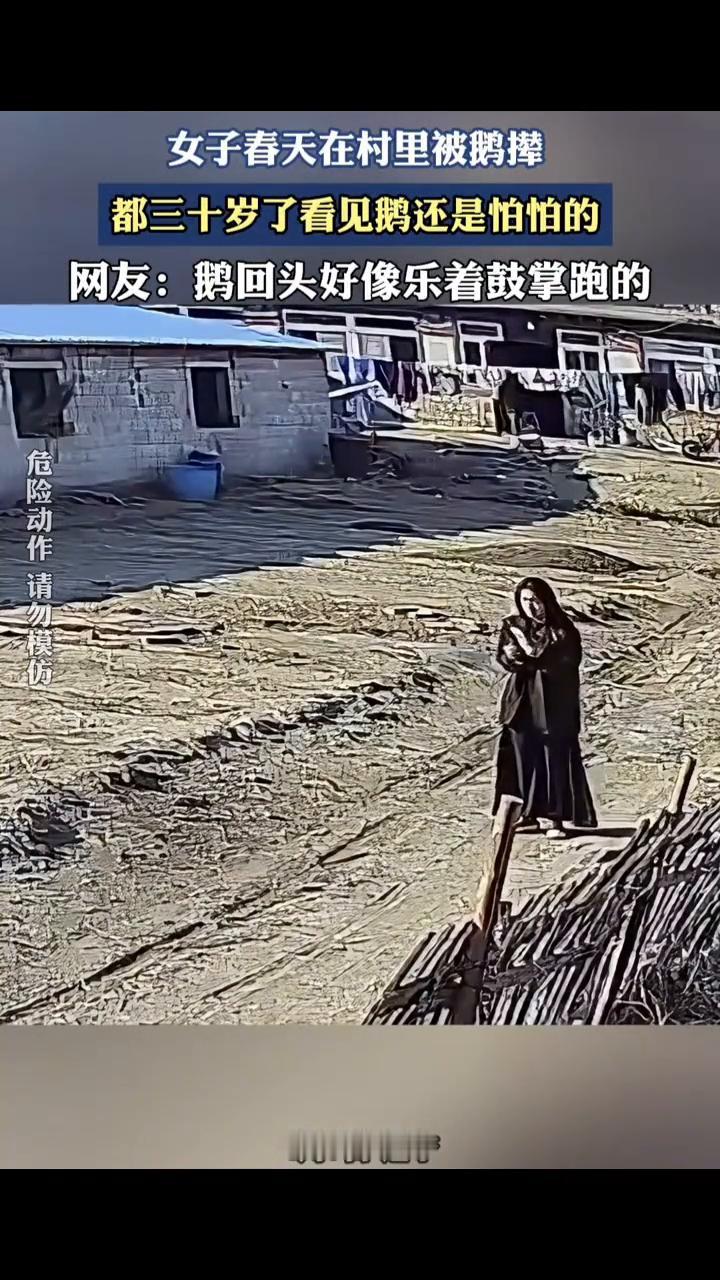 女子春天在村里被鹅撵，都三十岁了看见鹅还是怕怕的。网友：鹅回头好像乐着鼓掌跑的。