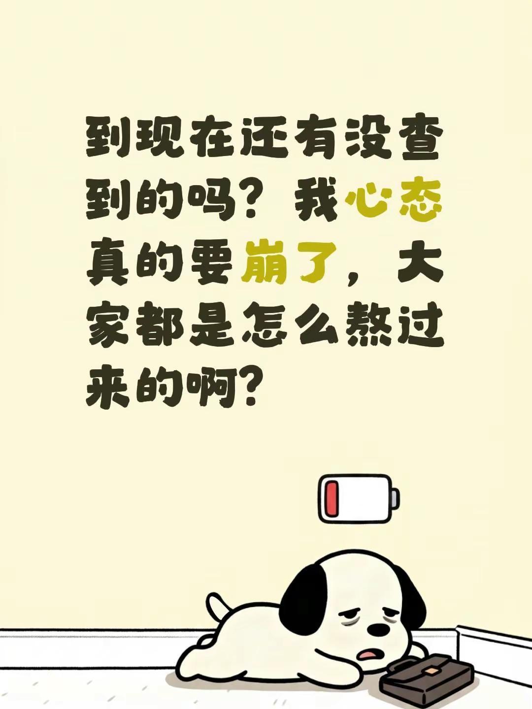 到现在还有没查到的吗？我心态真的要崩了，大家都是怎么熬过来的啊？高考 录取