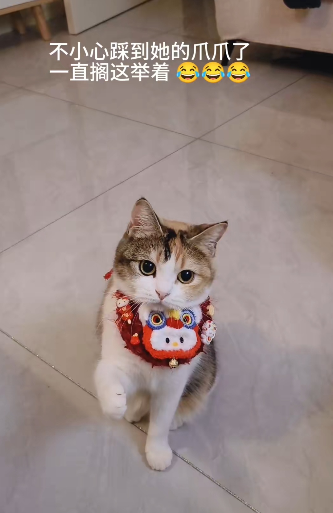 “戏精”小猫[笑cry] 