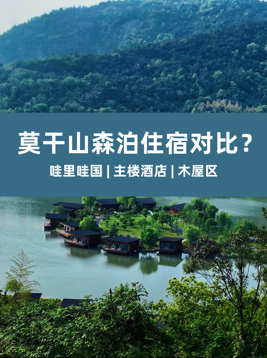 莫干山森泊住宿区别？乐园任选+采茶挖笋！