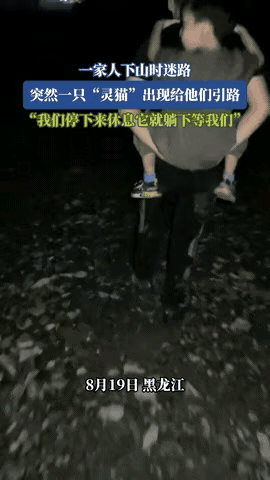 “科学解释不了！”黑龙江，一家子心血来潮去爬山，结果迷了路，天黑还在山里打转。就