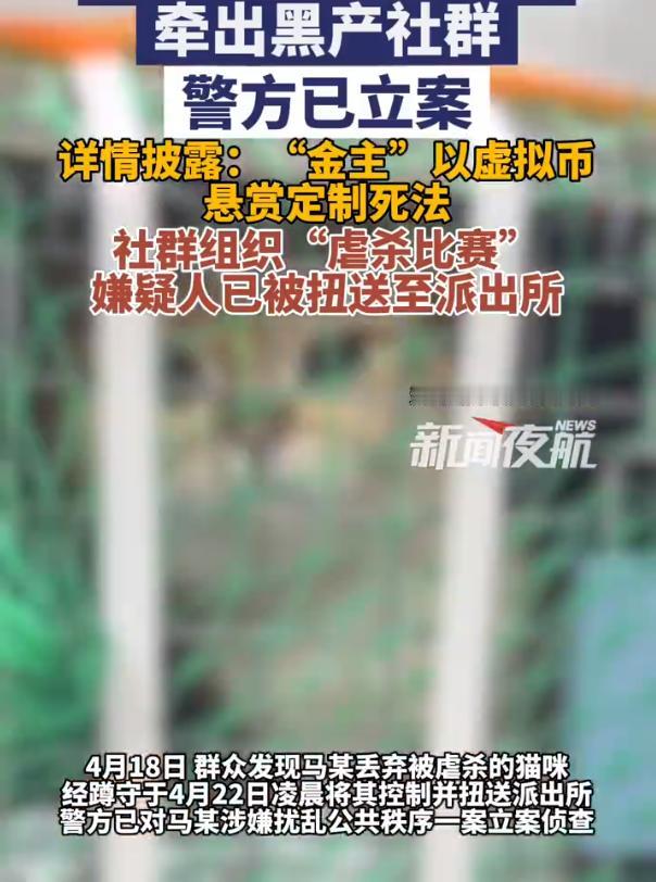 【男子虐杀上千只猫牟利警方已立案】男子4年虐杀1500只猫牵出黑产社群 近日，河