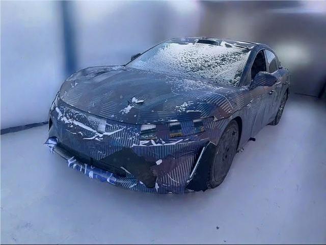 该车是比亚迪“大汉”的最新谍照，不过名字还在征集中。从这几张谍照来看，该车已经有