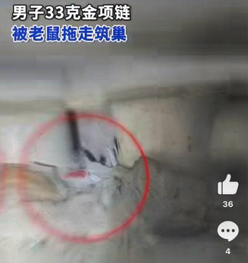 这事说出来估计没人第一反应能信，好好一条压箱底放了三年的金项链，没被外人偷，没被