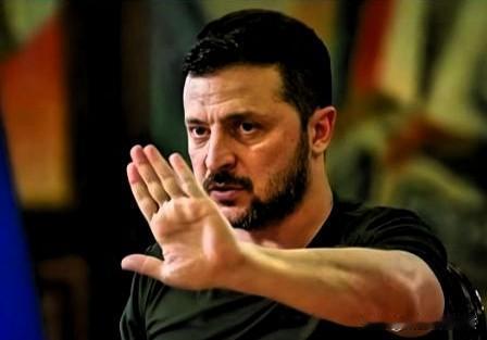 泽连斯基官宣: 
乌克兰放弃加入北约！

泽连斯基终于松口了，那份被视为救命稻草