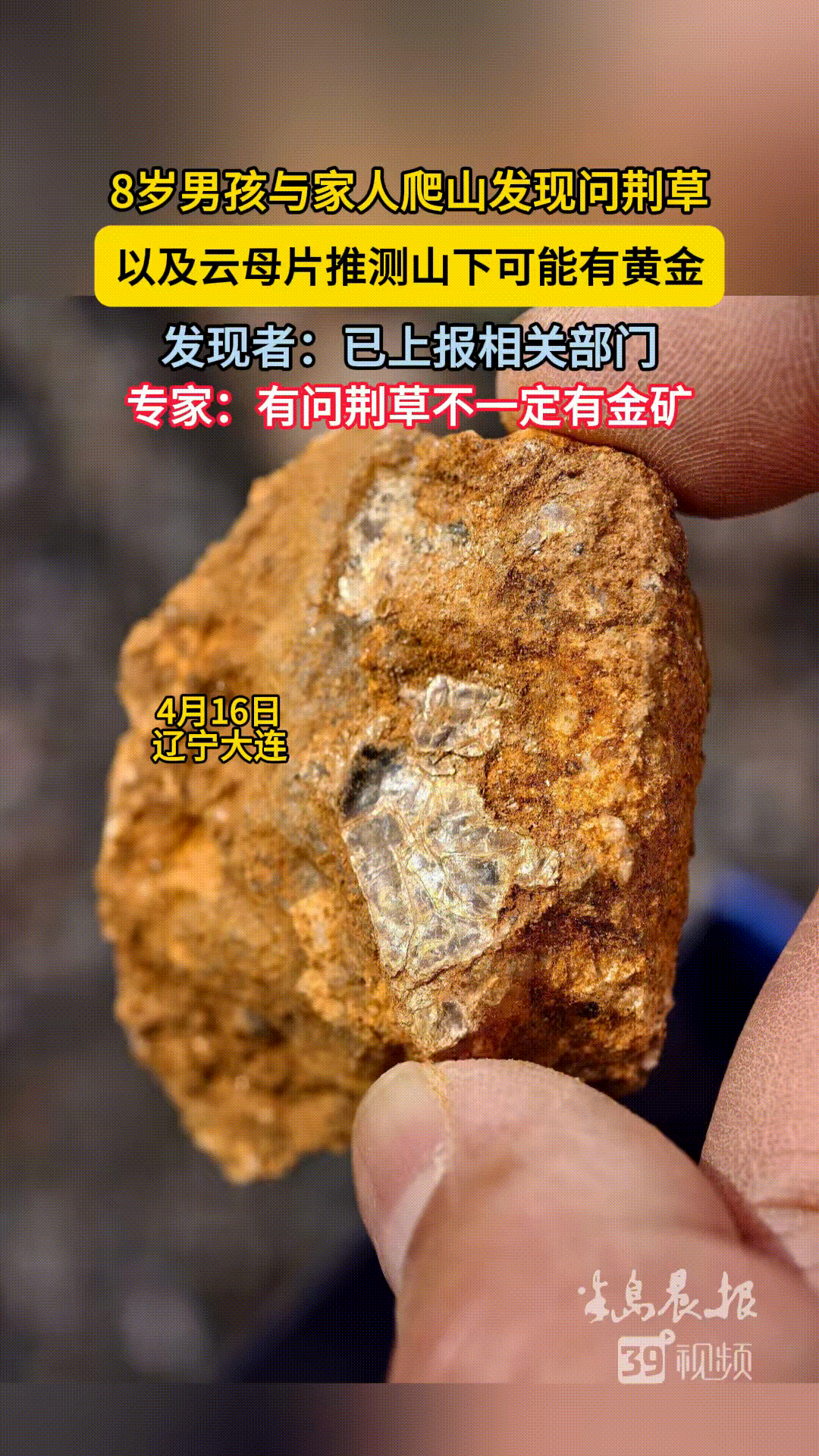 8岁男孩和家人一块爬荒山，

看到野菜，家人就在上面挖，

而男孩则在下面玩，没