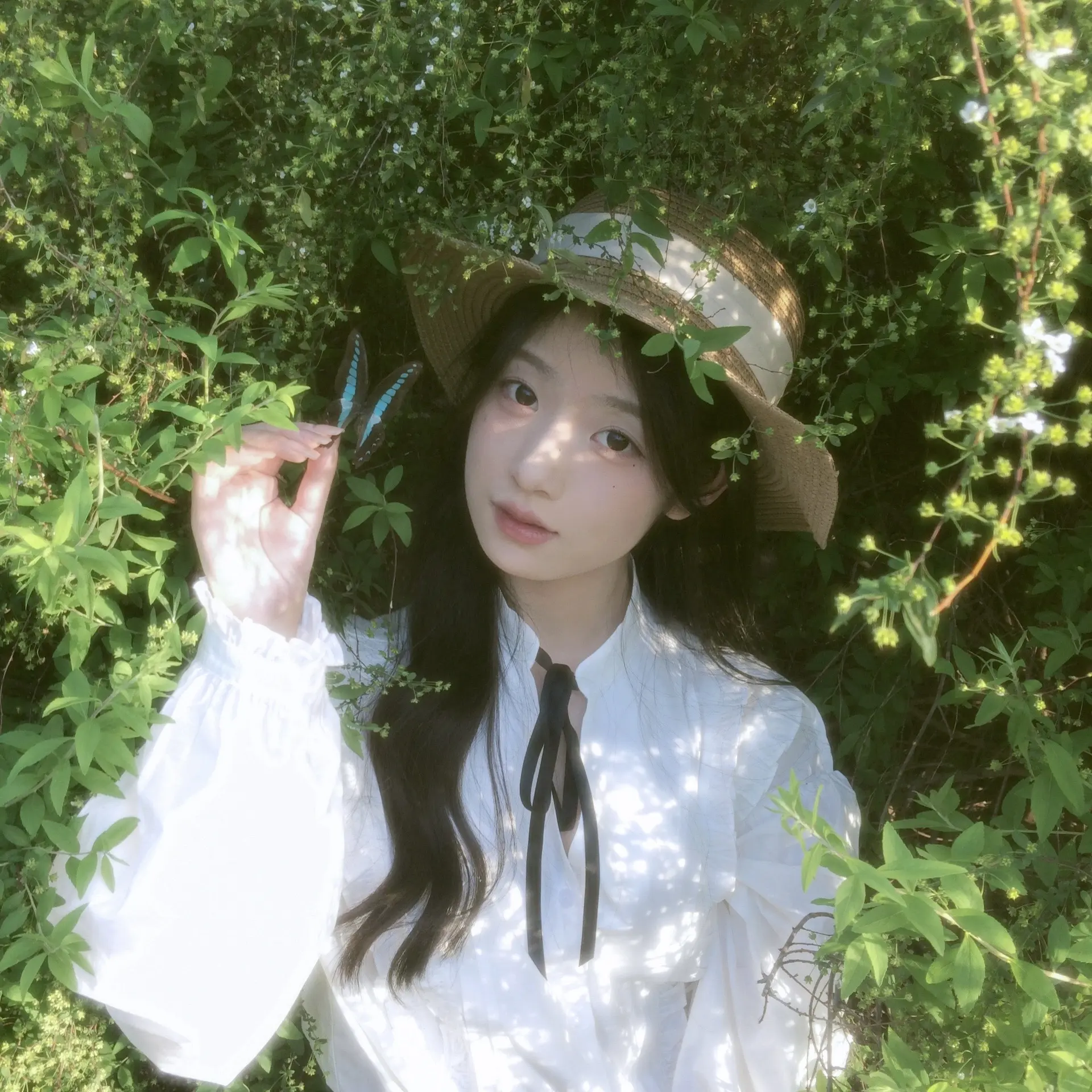 ⊹ ˚  🫧 ♡ ₊⁺𓋭 🦋·°