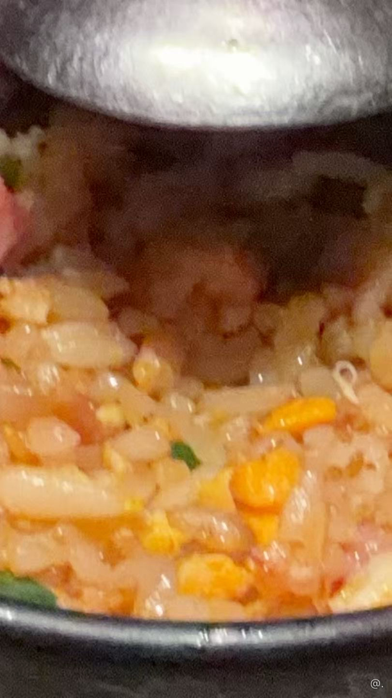 小狗觅食🥣 