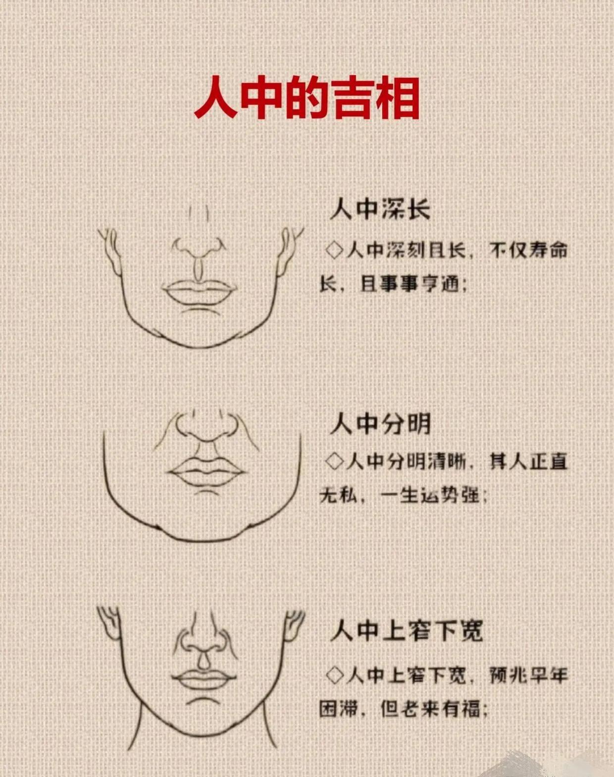 人中就是鼻子跟嘴之间的那个小凹槽，每个人的人中形状都不一样，但大起上也可以分成几