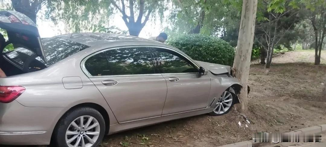 这里不让停车

就是不听话，

为了凉快，不晒着车，非要停在两个树之间，

这下