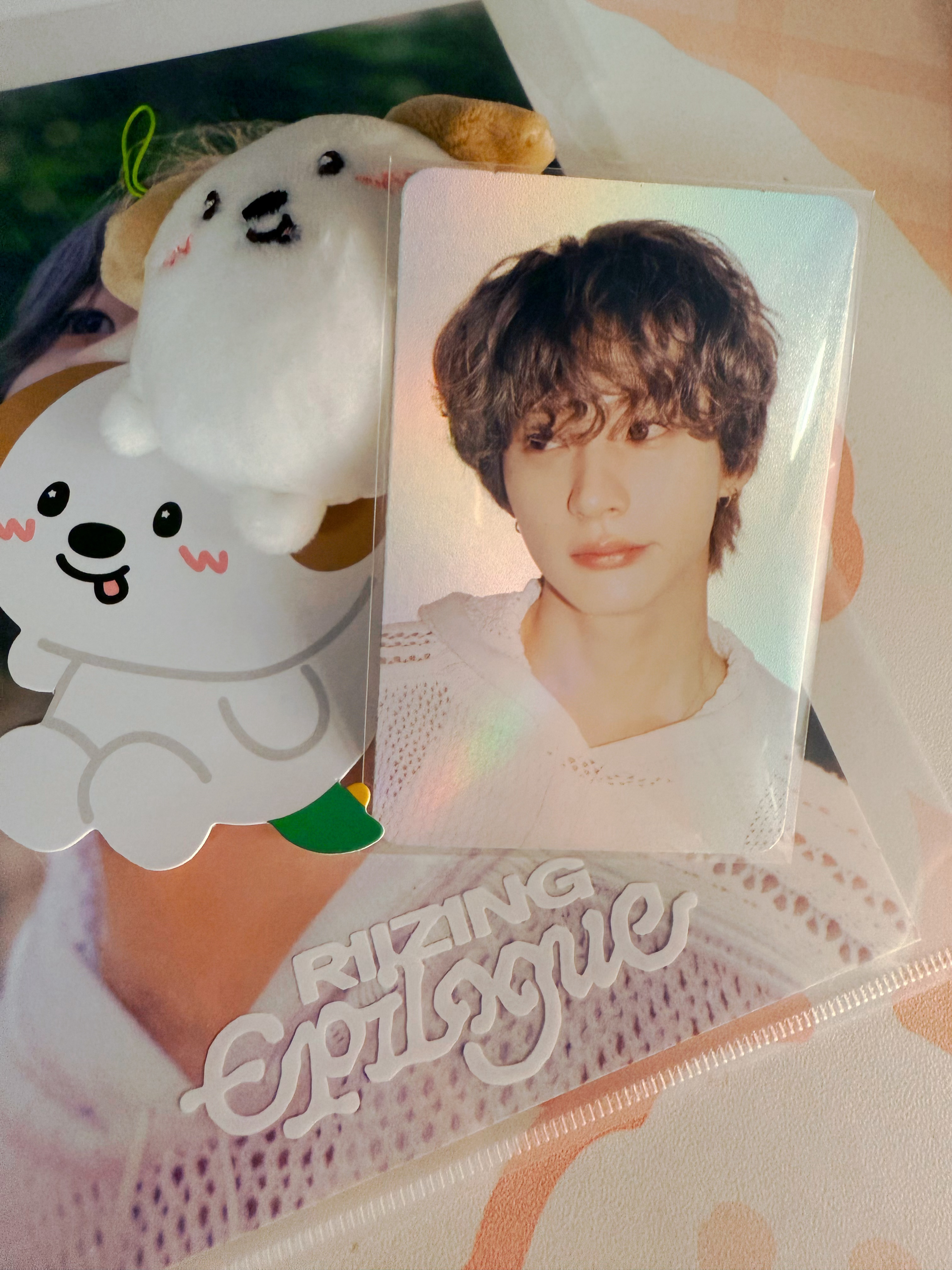 我的小鼻嘎狗龙和绝美闪卡终于到了！！！这张太还原灿荣的美貌了… 