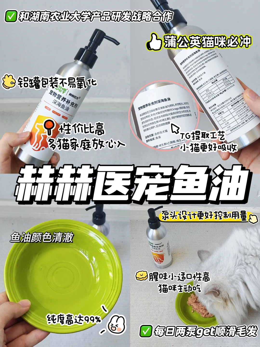 100件养猫好物|快来一起抄作业🎡