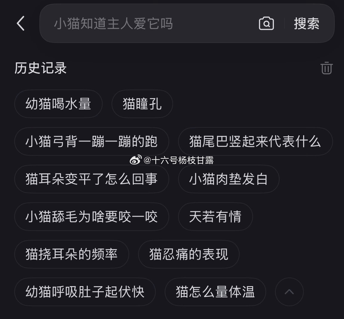 如今，我的搜索栏： 