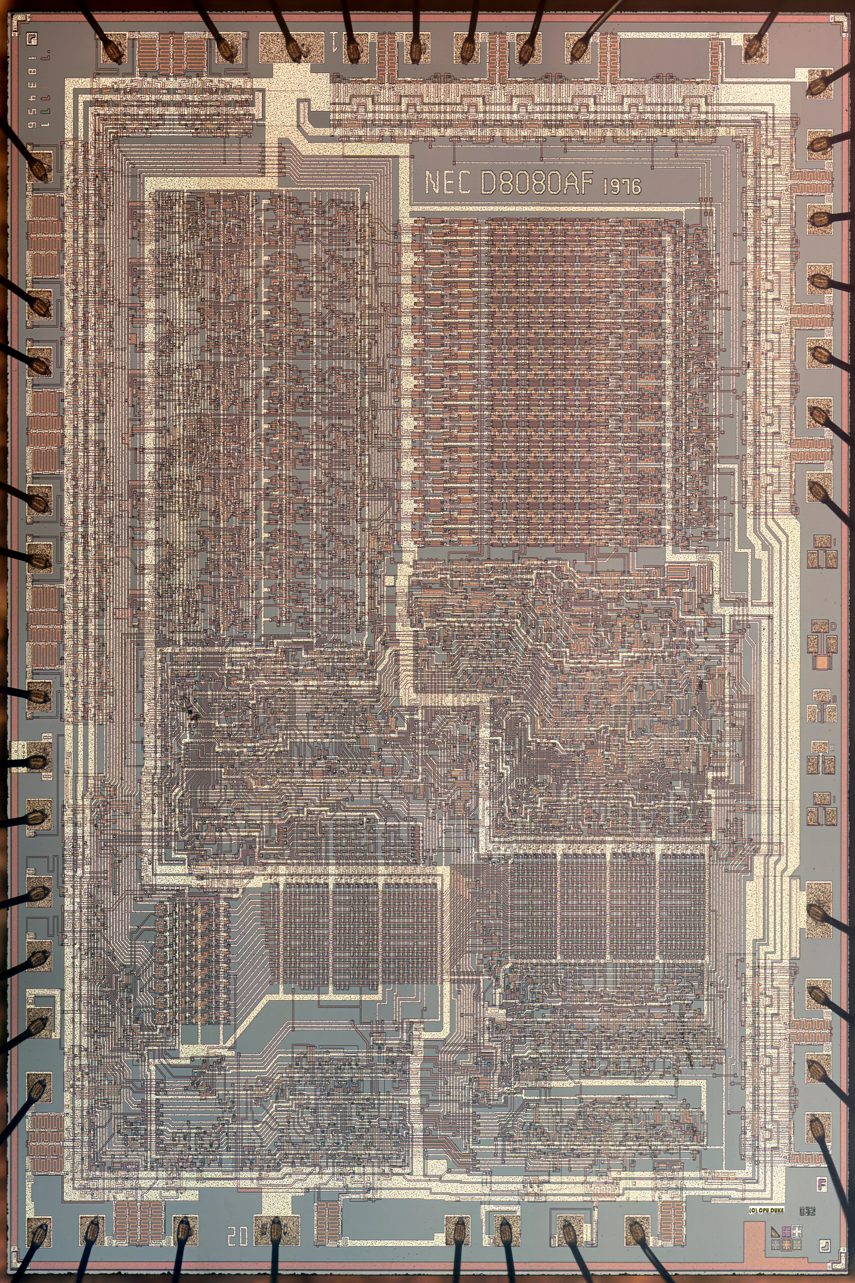 Intel 8080 CPU的显微照片摄影制图：duke_cpu ​​​