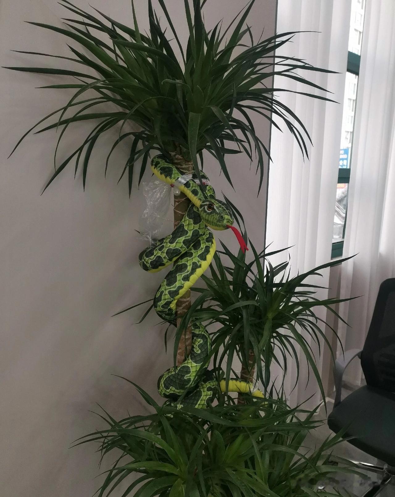 朋友家这种操作能把外人吓得不行。周末我去朋友家玩，她去上洗手间的时候，我在客厅里